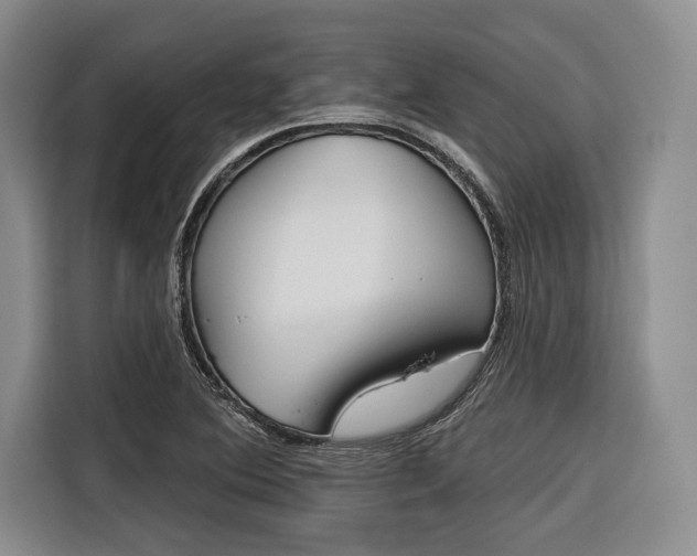 X0000116671364200912140937