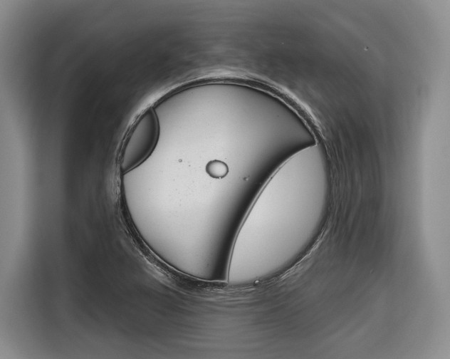 X0000116671367200912140937