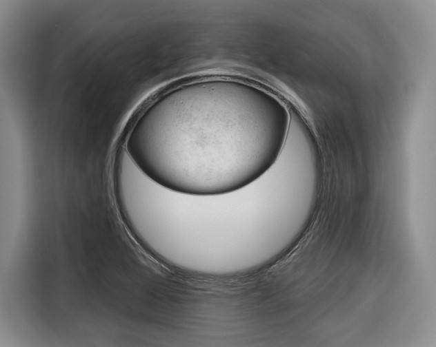 X0000116671368200912140937