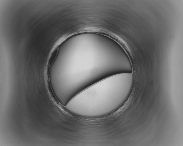 X0000116671373200912140937