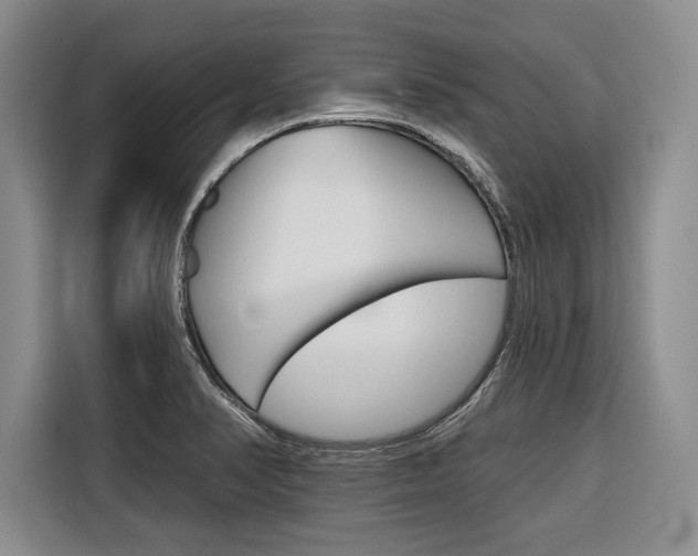 X0000116671374200912140937