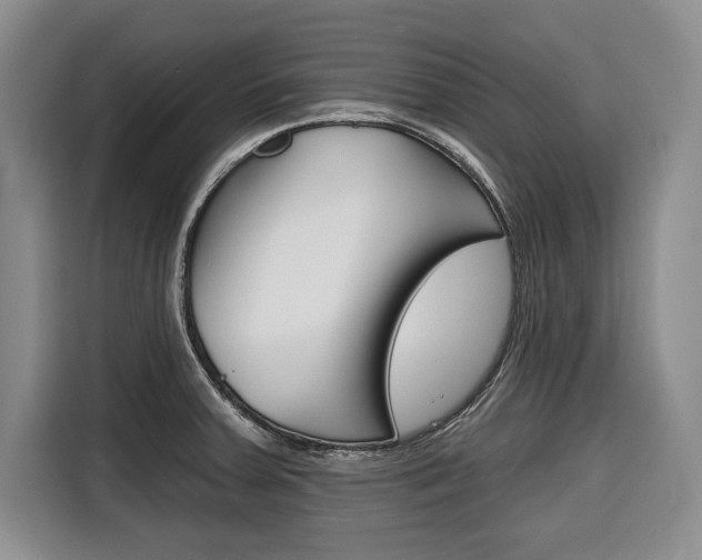 X0000116671379200912140937