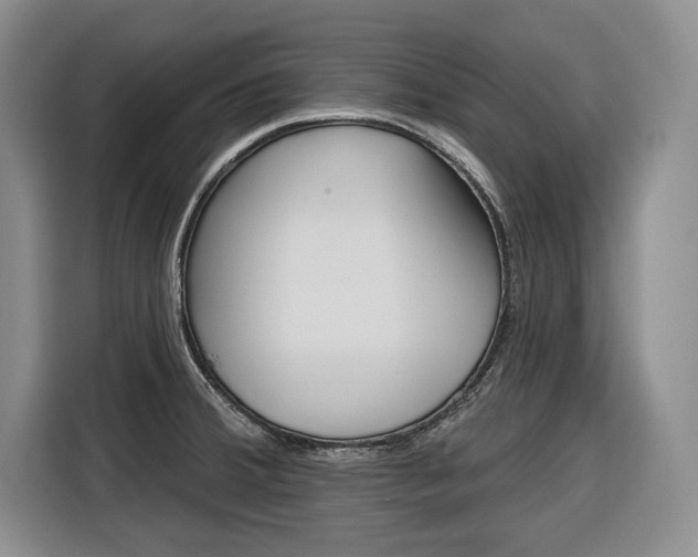 X0000116671380200912140937