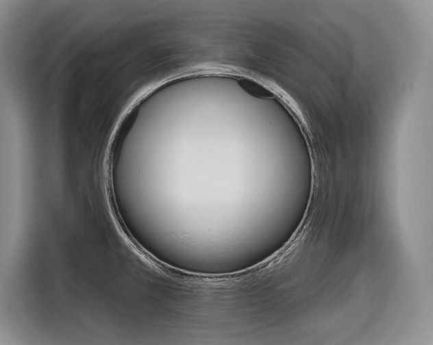 X0000116671381200912140937