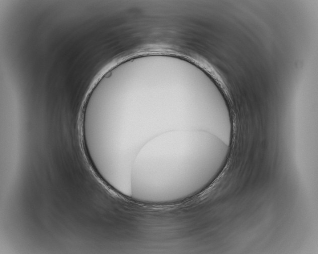 X0000116671382200912140937