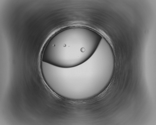 X0000116671384200912140936