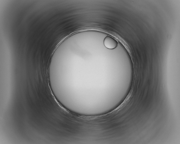X0000116671385200912140936