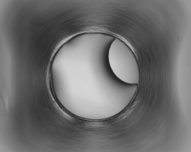 X0000116671387200912140936