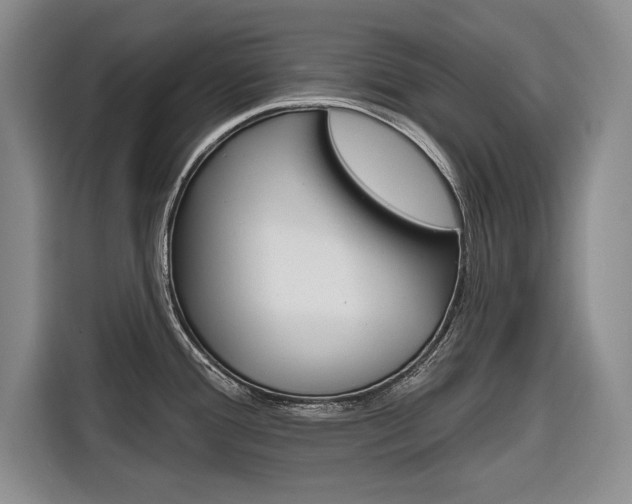 X0000116671388200912140936