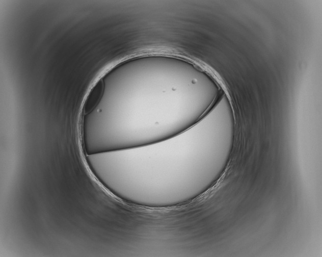 X0000116671389200912140936