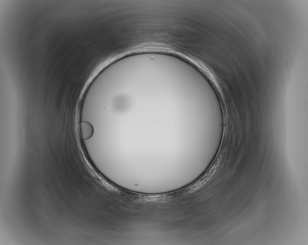X0000116671390200912140936