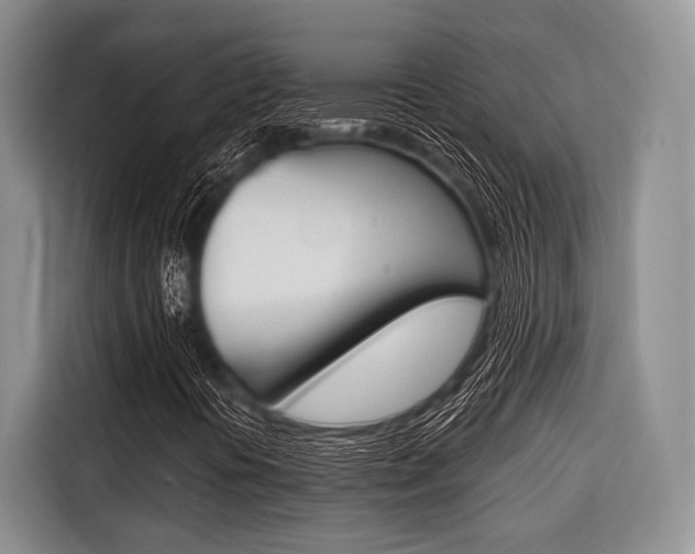 X0000116671394200912140936