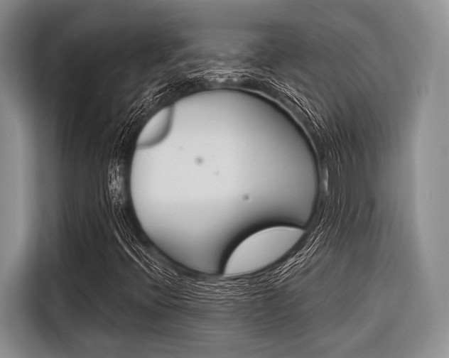 X0000116671396200912140936