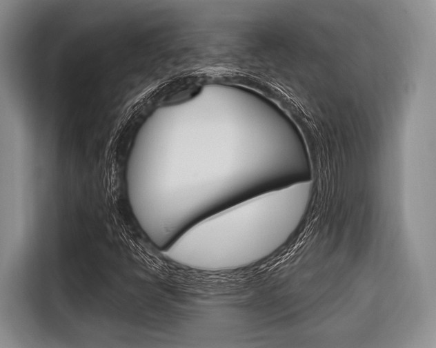 X0000116671398200912140936