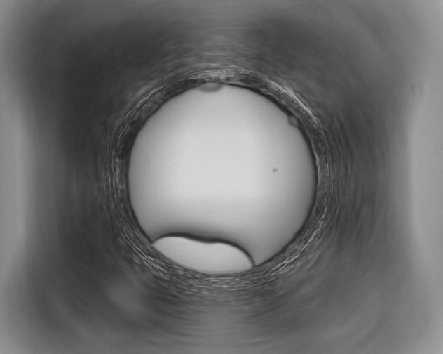 X0000116671399200912140936