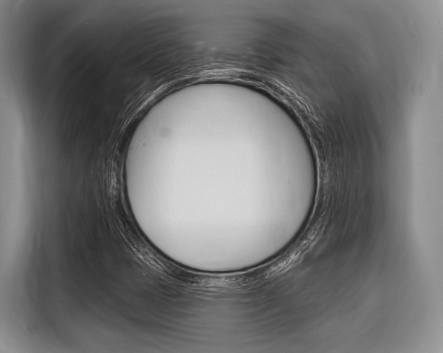 X0000116671401200912140936