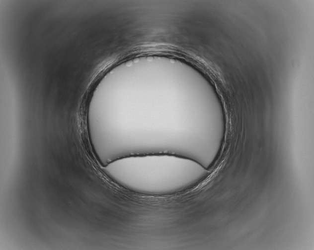 X0000116671405200912140936