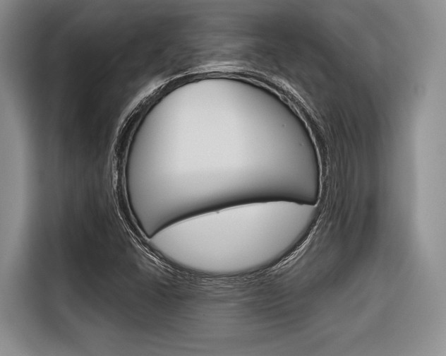 X0000116671406200912140936