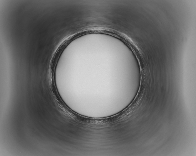 X0000116671408200912140936