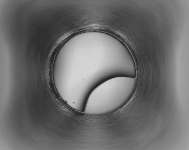 X0000116671410200912140936