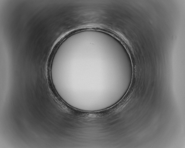 X0000116671412200912140936