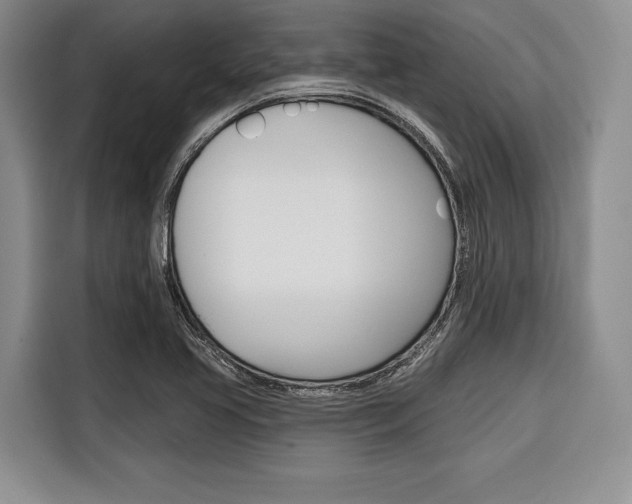X0000116671413200912140936