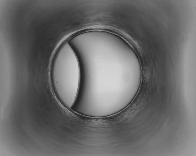 X0000116671416200912140936