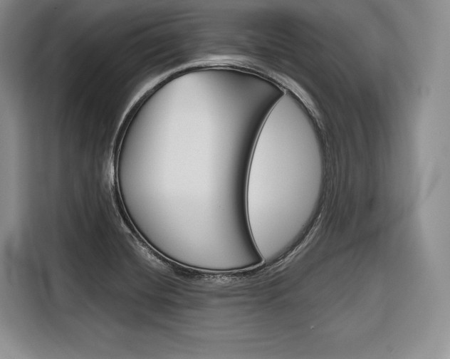 X0000116671420200912140936
