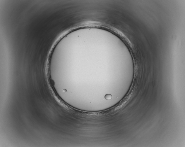 X0000116671421200912140936