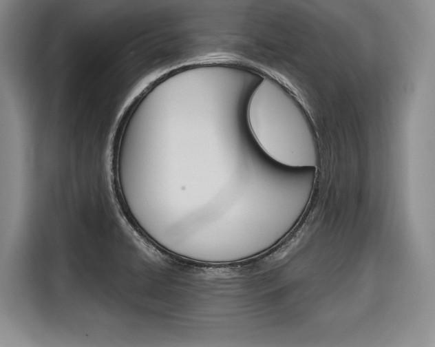 X0000116671422200912140936