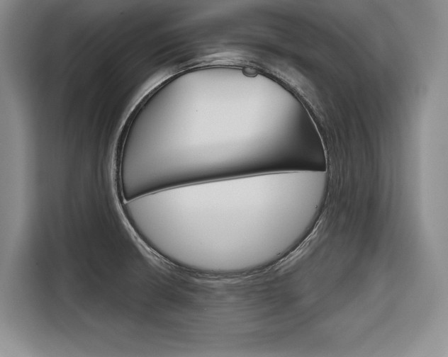 X0000116671426200912140936