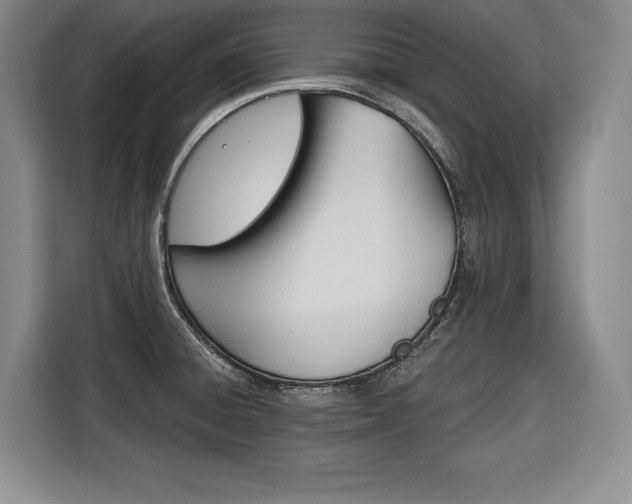 X0000116671428200912140936