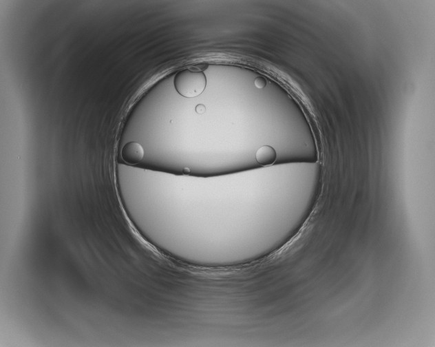 X0000116671433200912140936