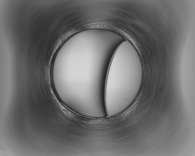 X0000116671434200912140936