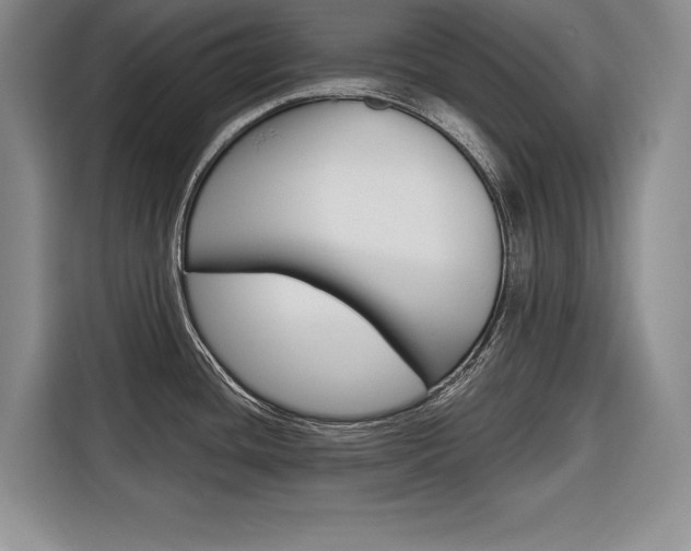 X0000116671436200912140936