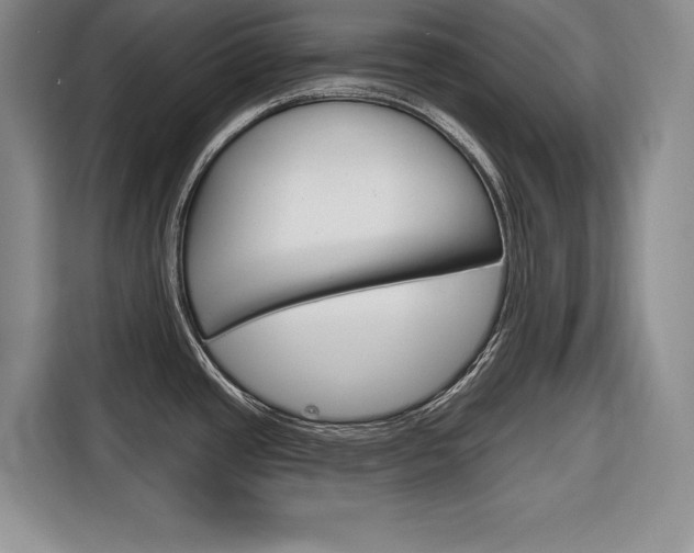 X0000116671437200912140936