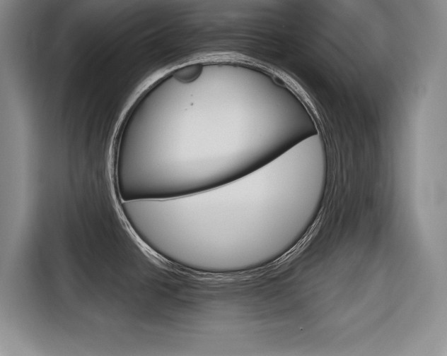 X0000116671438200912140936