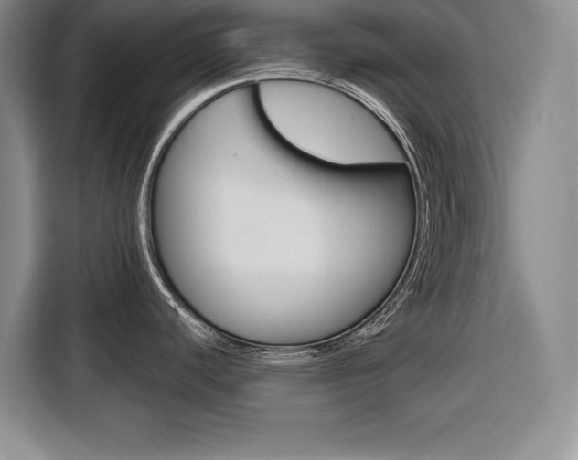 X0000116671440200912140936