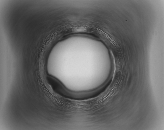X0000116671441200912140936