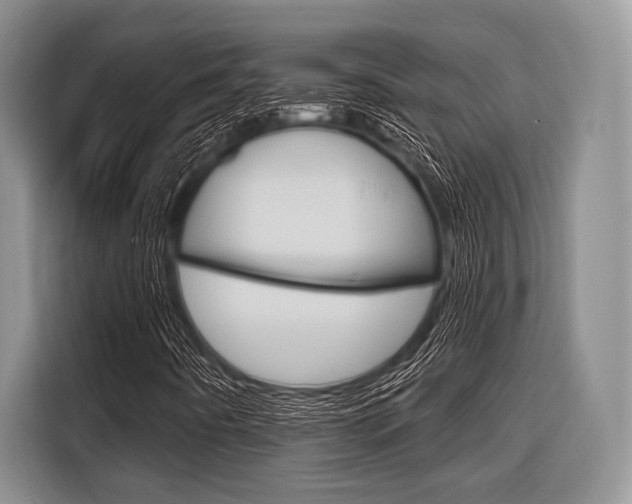 X0000116671442200912140936