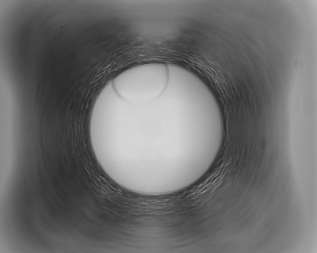 X0000116671443200912140936