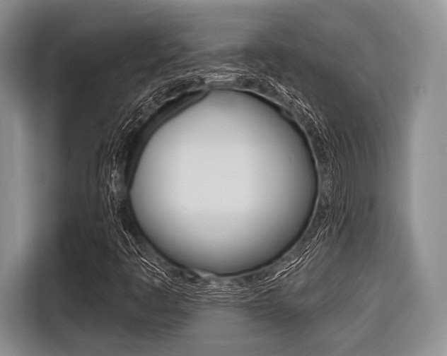X0000116671445200912140936