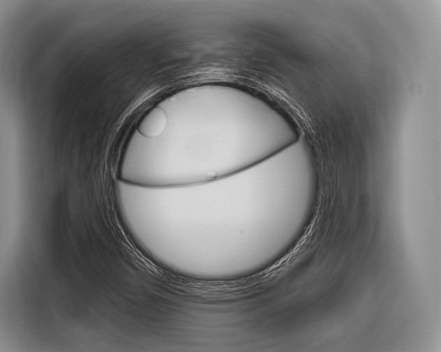 X0000116671450200912140936