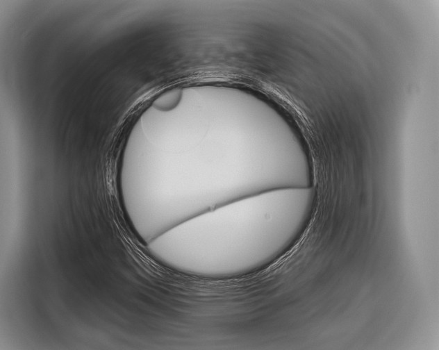X0000116671451200912140936