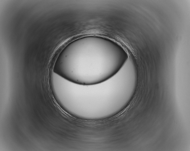 X0000116671452200912140936