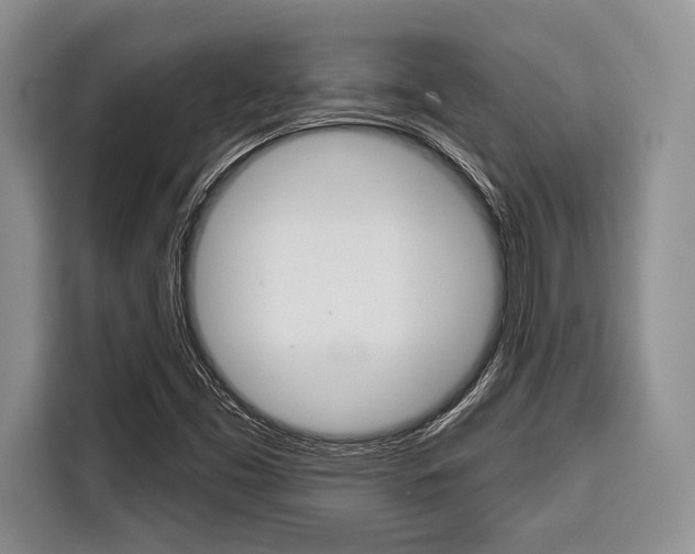 X0000116671453200912140936