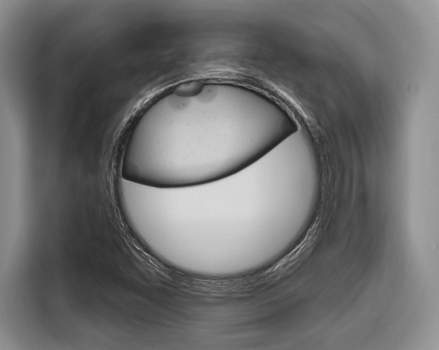 X0000116671455200912140936