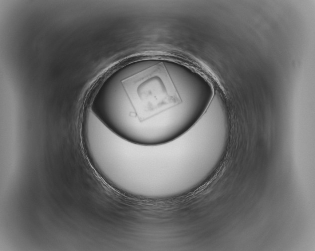 X0000116671456200912140936