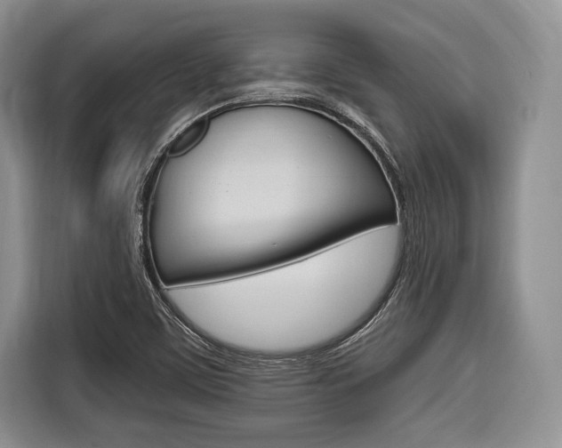 X0000116671459200912140936
