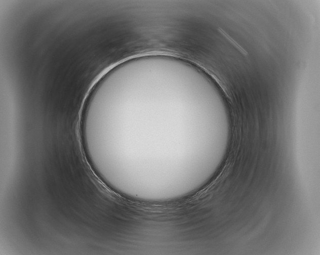 X0000116671460200912140936